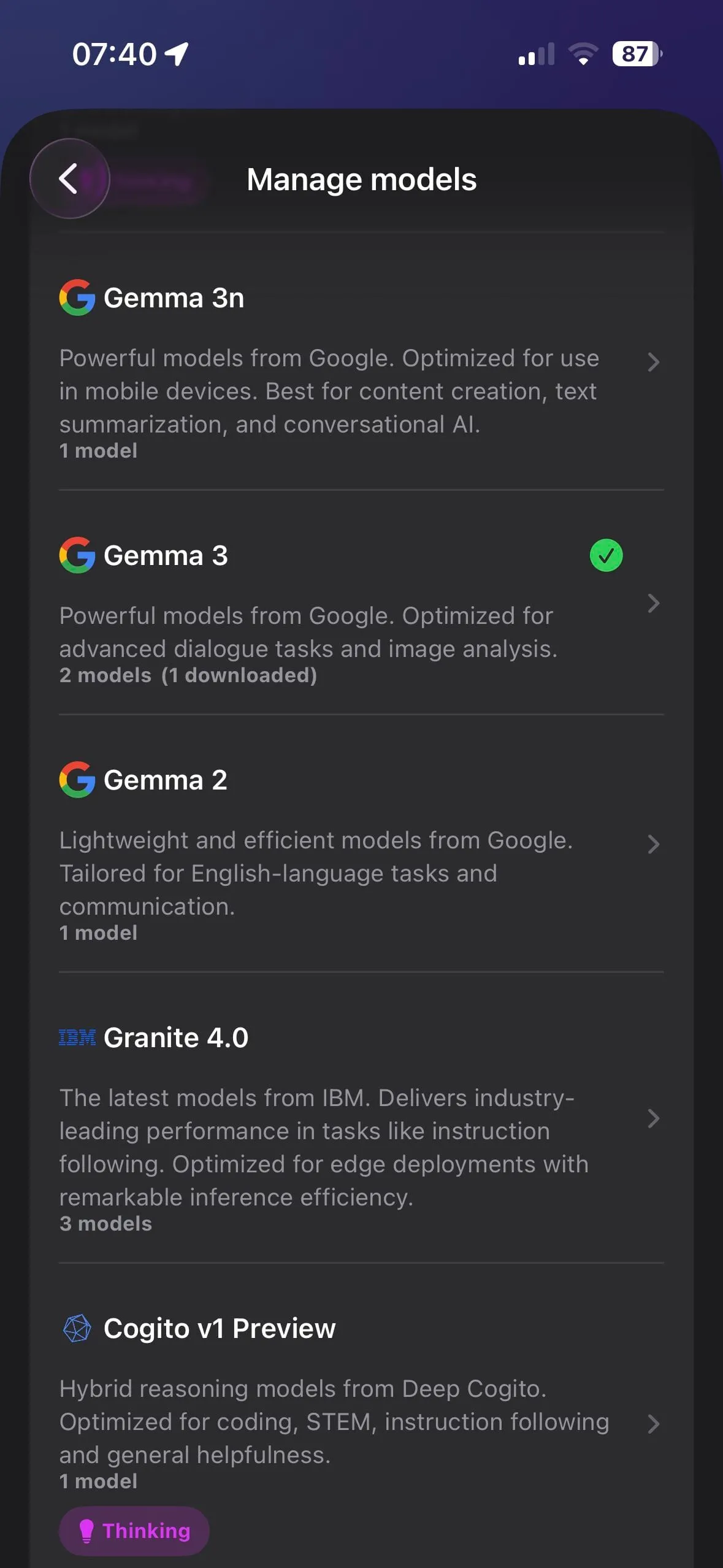 Locally AI — rozmowa z modelem