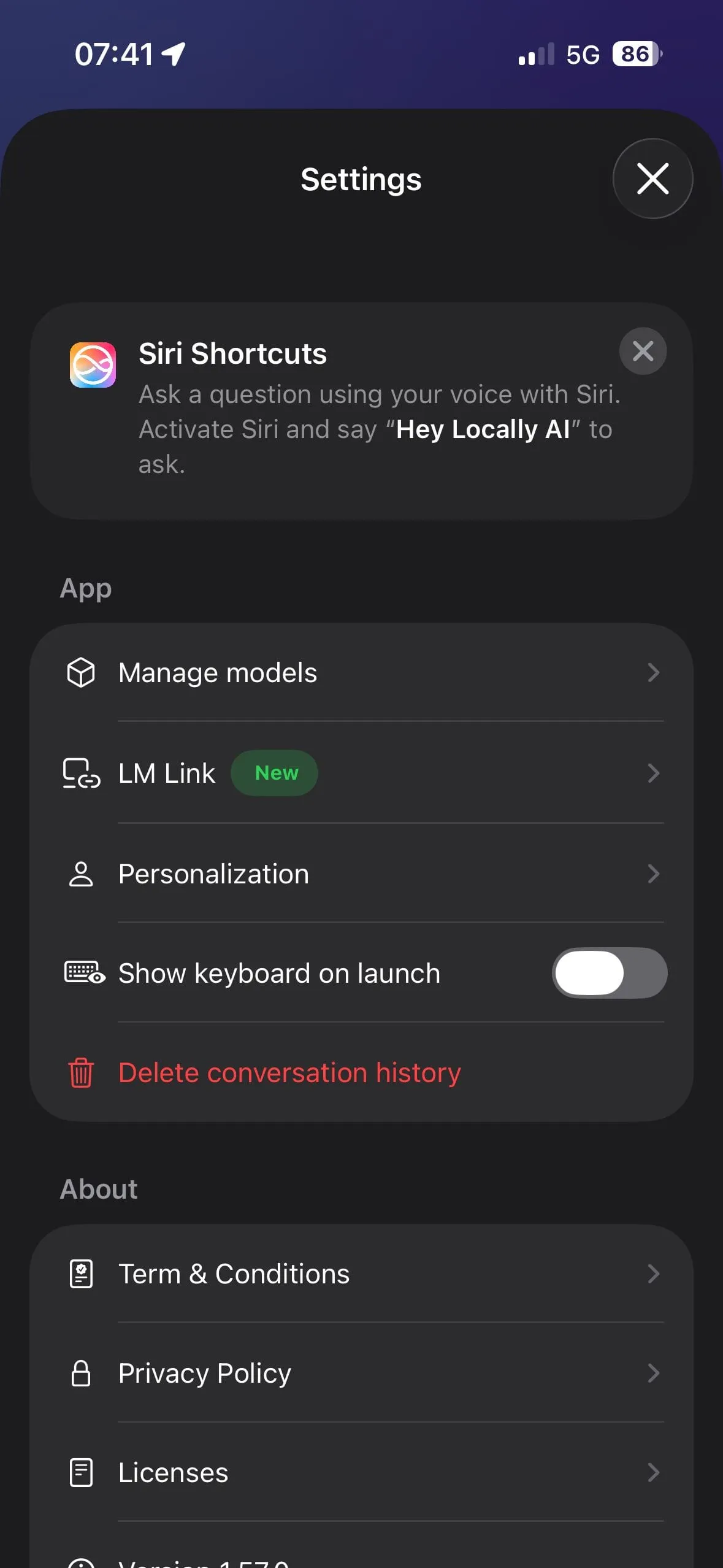 Locally AI — ustawienia aplikacji